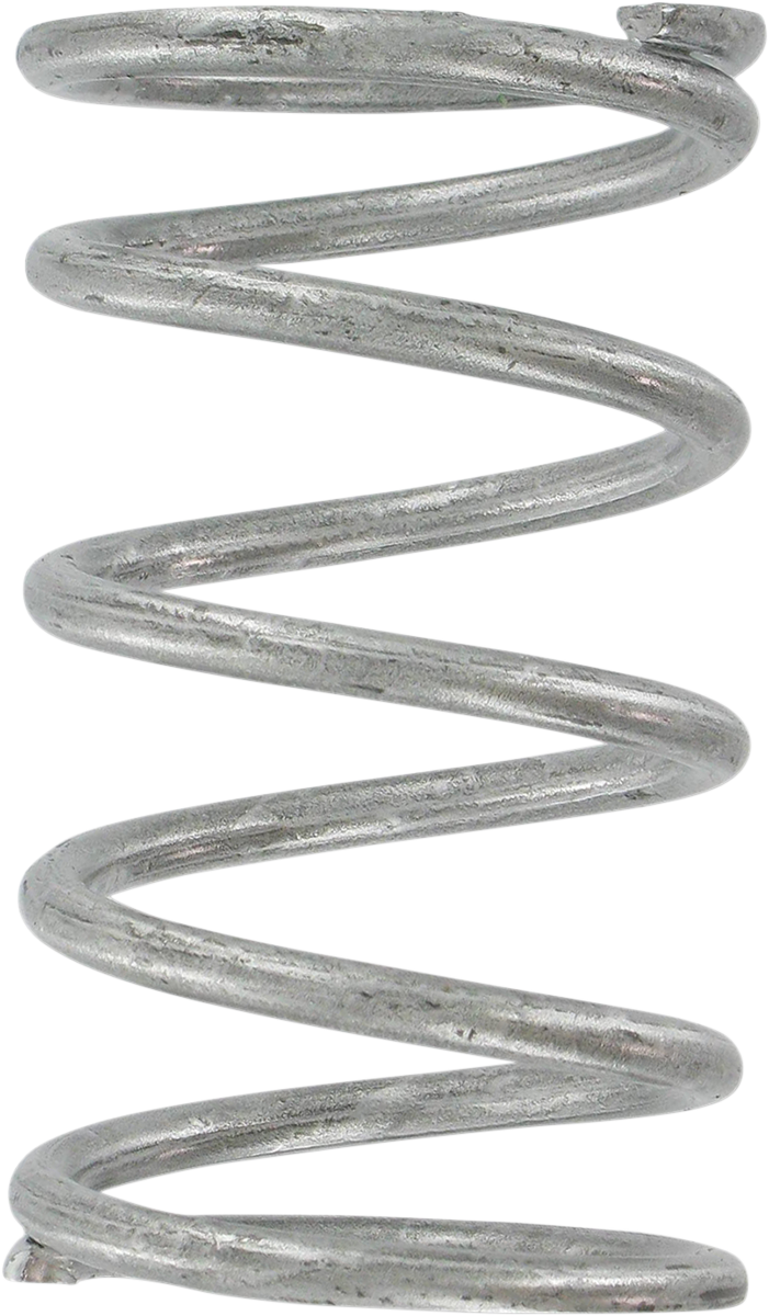 Clutch Spring - Silver - Lutzka's Garage