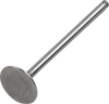 Exhaust Valve