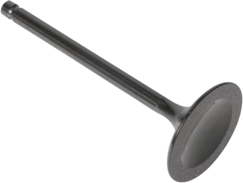 Intake Valve