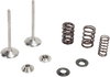 Intake Valve Kit