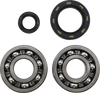 Main Bearing Kit