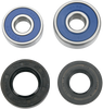 Wheel Bearing Kit - Rear