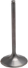Intake Valve - Honda