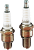 Spark Plug - DPR8EA9/DR8ESL