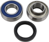 Chain Case Bearing and Seal Kit