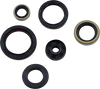Oil Seal Kit - Gas Gas/Husqvarna/KTM