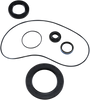 Trans Seal Kit - Big Twin
