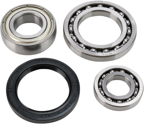Chain Case Bearing and Seal Kit