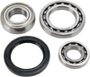 Chain Case Bearing and Seal Kit