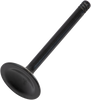 Exhaust Valve