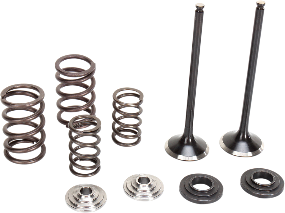 Valve and Spring Kit