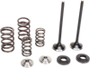 Valve and Spring Kit
