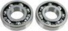 Crankshaft Bearings - Arctic Cat/Kawasaki/Suzuki