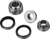 Shock Bearing Kit - Lower