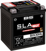 Battery - BIX30HL (YIX)