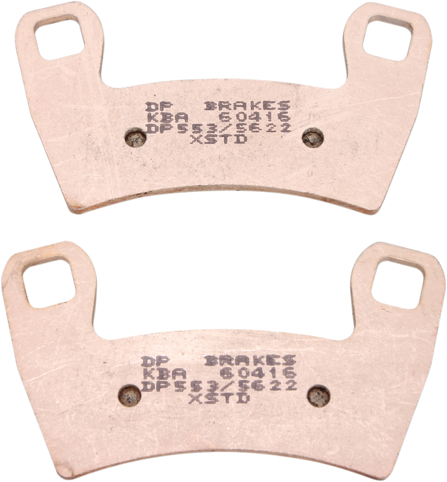 Standard Brake Pads - RZR 900