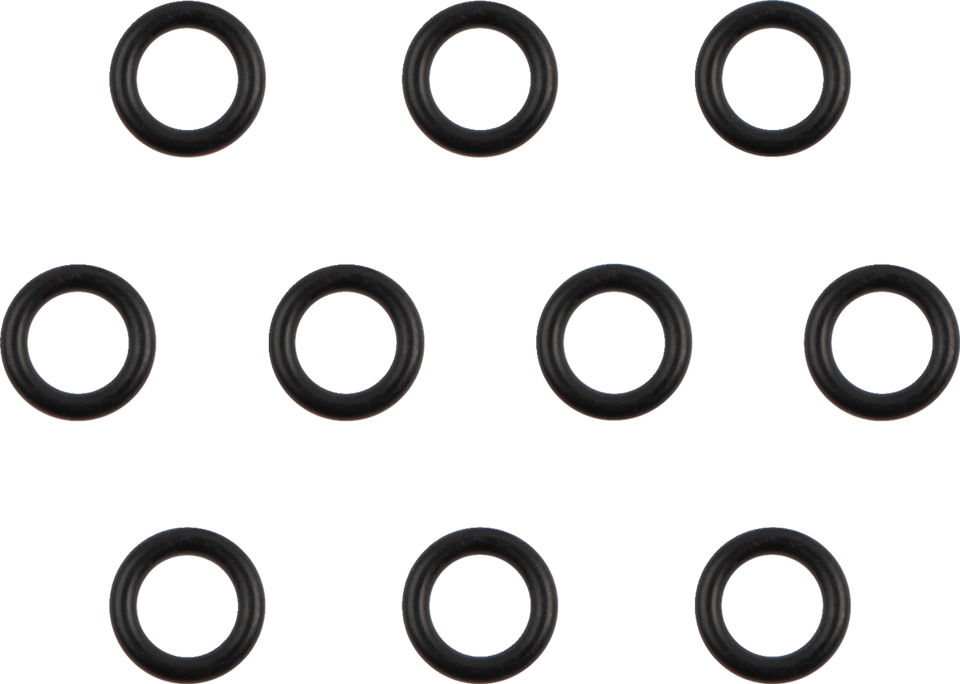 Oil Pump Check Valve O-Ring