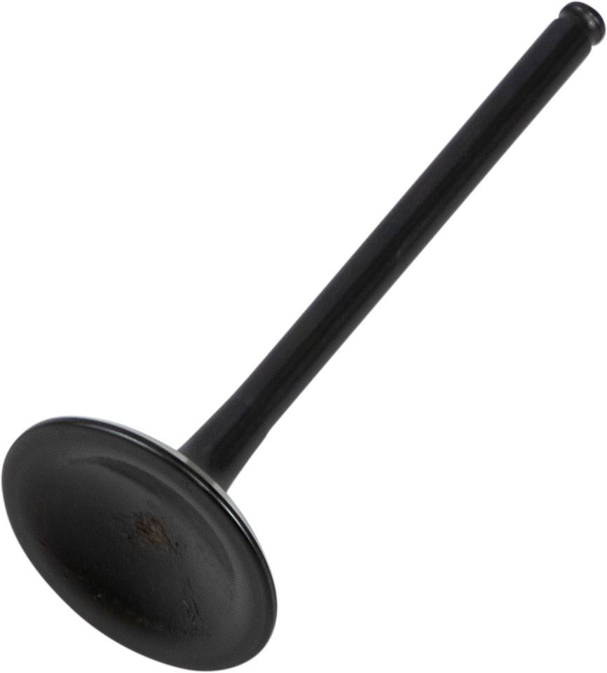 Exhaust Valve
