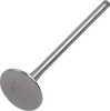 Exhaust Valve
