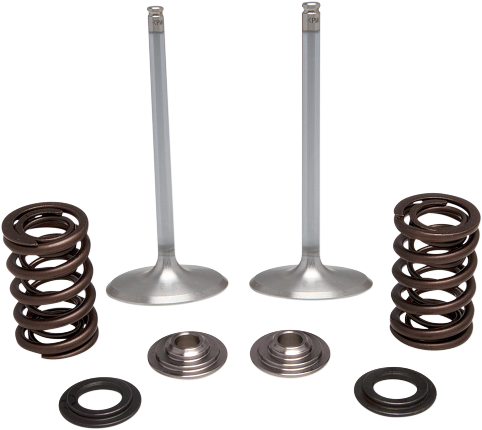 Intake Valve Kit