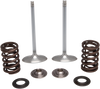 Intake Valve Kit
