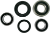 Wheel Bearing Kit - Rear