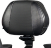 Ballistic Passenger Backrest - Black - Ryker 19-23 - Lutzka's Garage