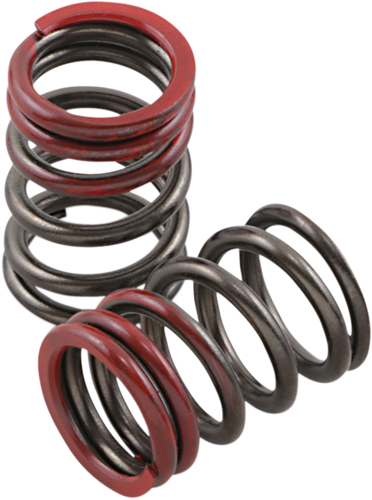 Valve Springs - Exhaust - Kawasaki | Suzuki