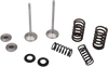 Valve and Spring Kit