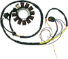 Stator