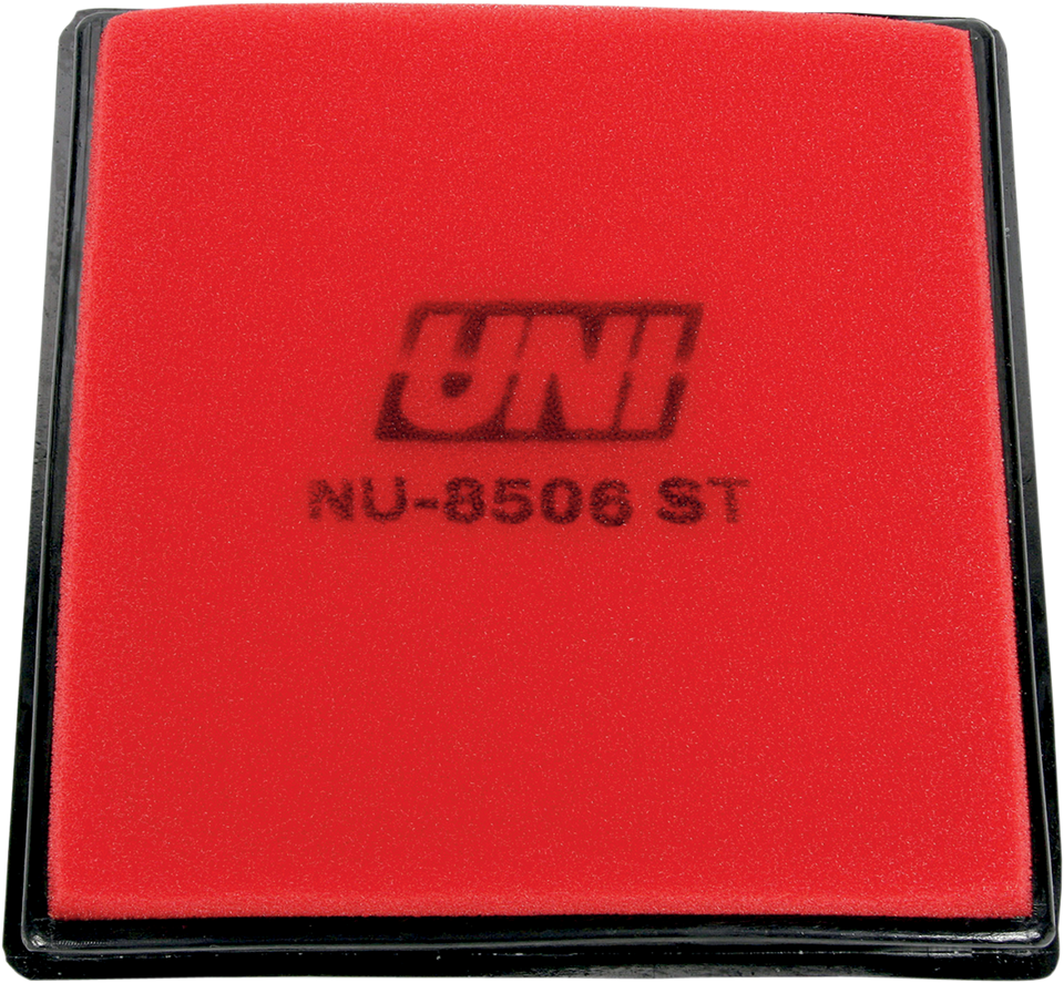 Air Filter - Polaris