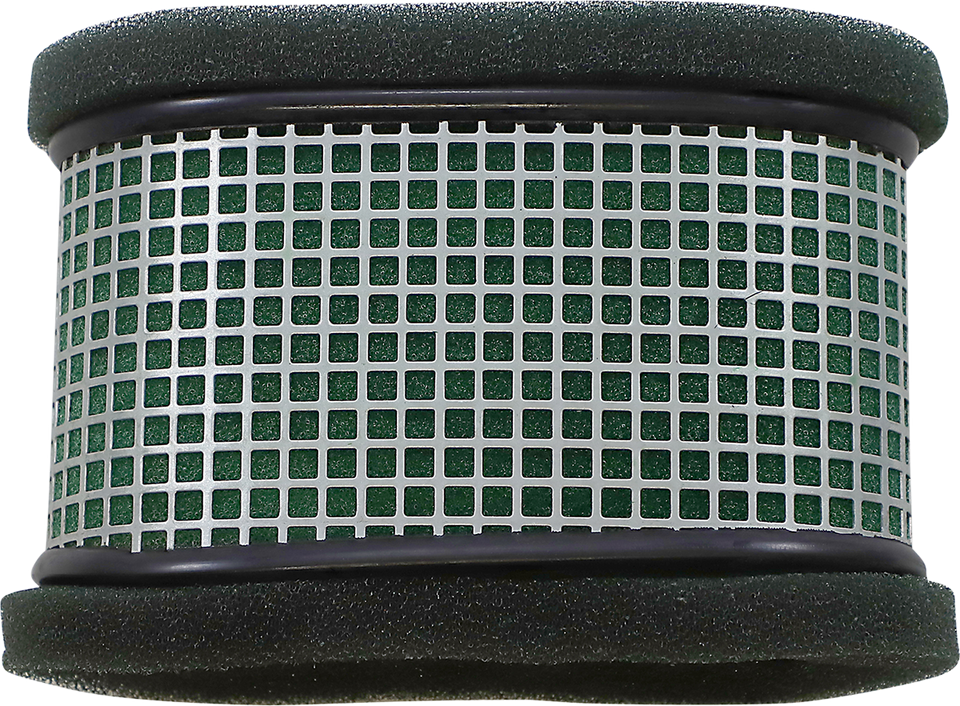 Precision Pre-Oiled Air Filter - Polaris