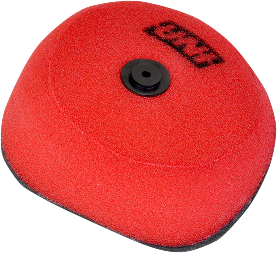 Replacement OEM Air Filter - Beta