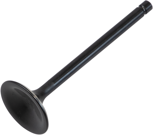 Exhaust Valve