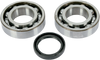 Crankshaft Bearings - Kawasaki/Suzuki