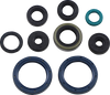 Oil Seal Gasket Kit