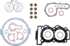 Complete Motor Gasket Kit - Polaris