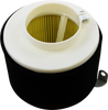 Replacement Air Filter - Kawasaki