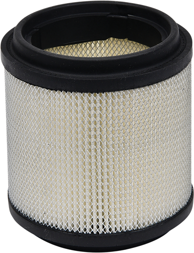 Replacement Air Filter - Polaris