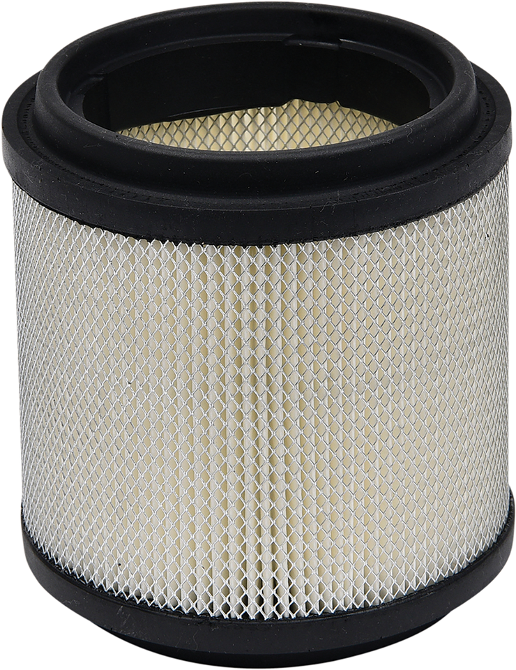 Replacement Air Filter - Polaris