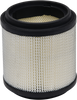 Replacement Air Filter - Polaris