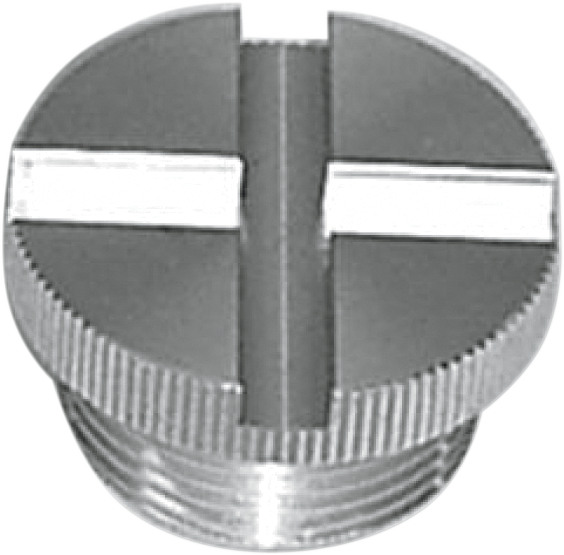 Cap - Clutch Adjusting Hole - XL - Lutzka's Garage