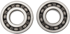 Crankshaft Bearings - Yamaha