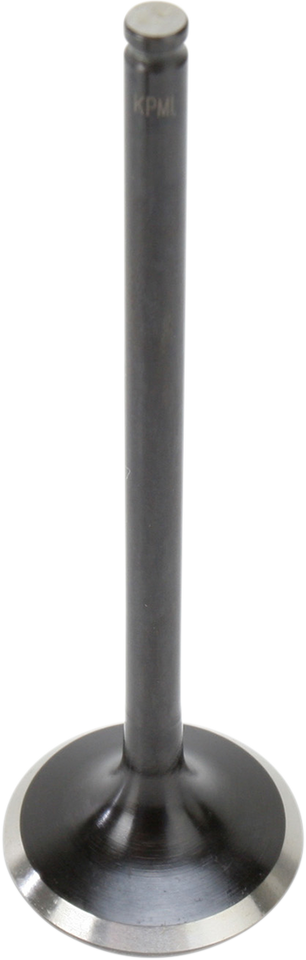 Exhaust Valve