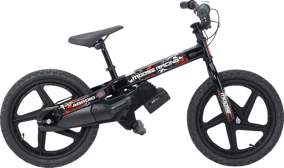 RS-16 E-Bike - Agroid - Balance