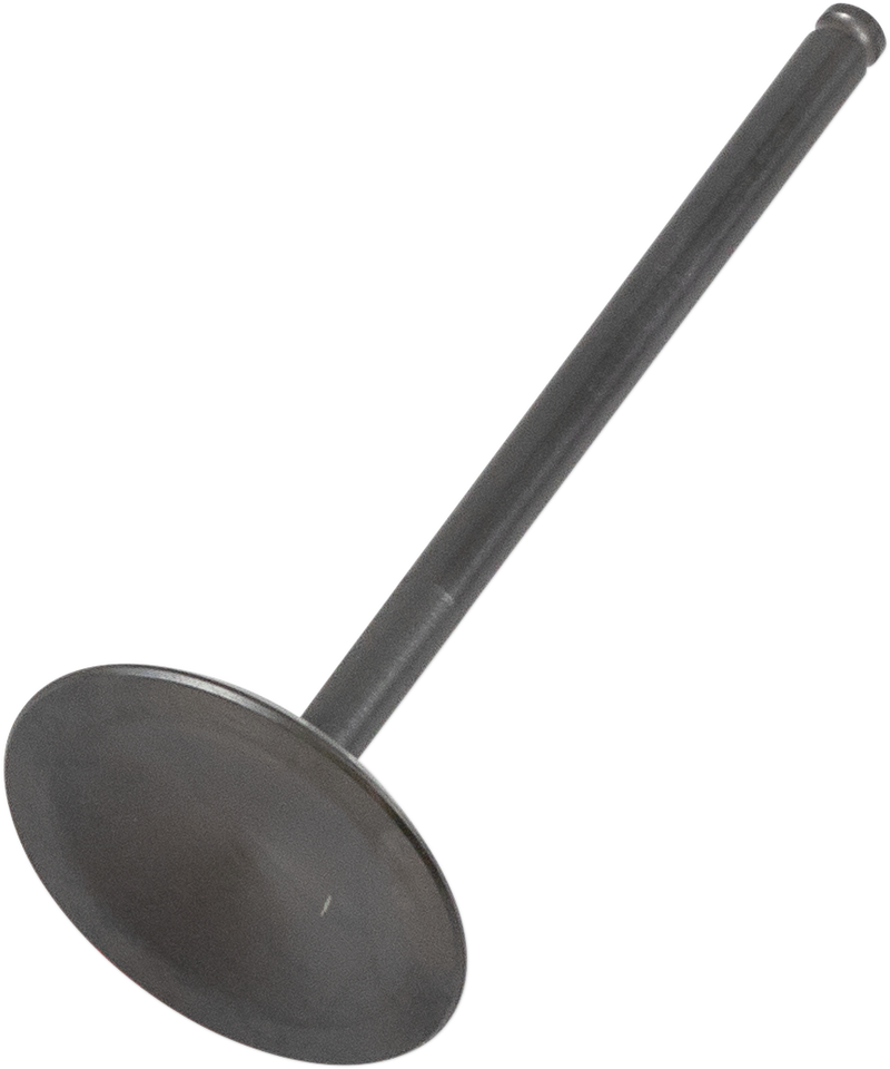 Intake Valve
