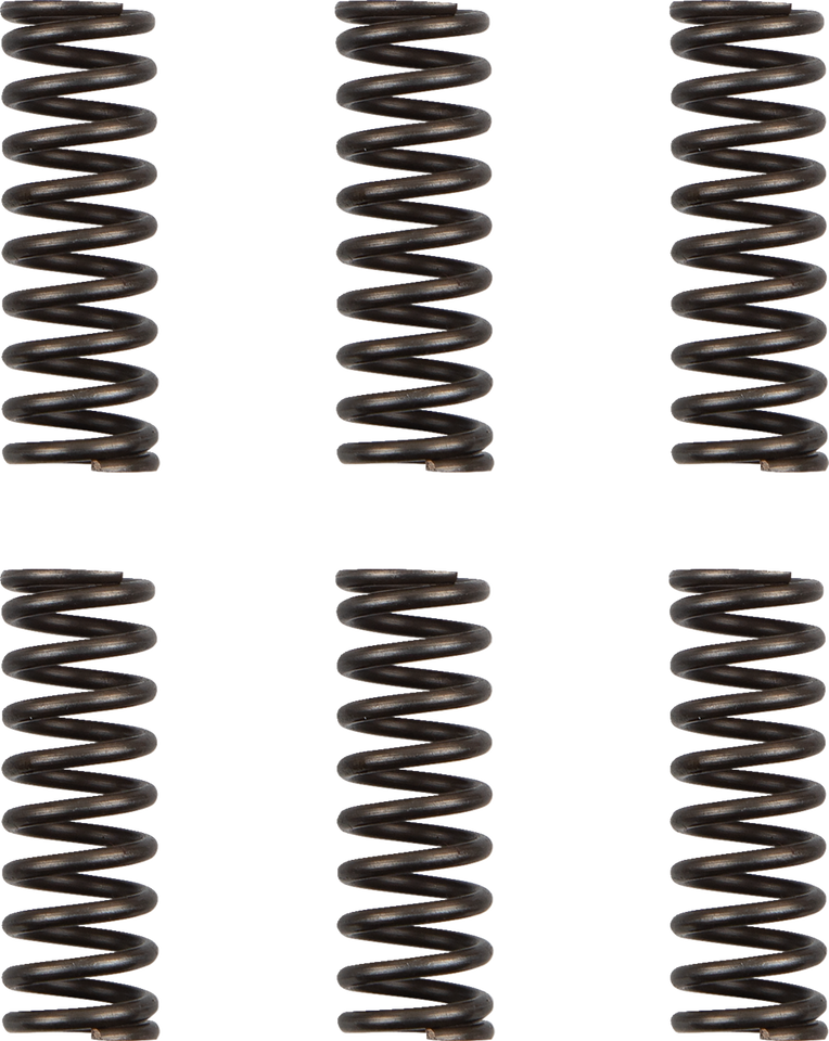 Clutch Springs - WR/YZ 450F