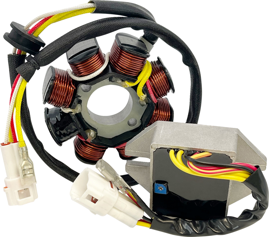 Lithium-Ion Compatible Charging Kit - KTM