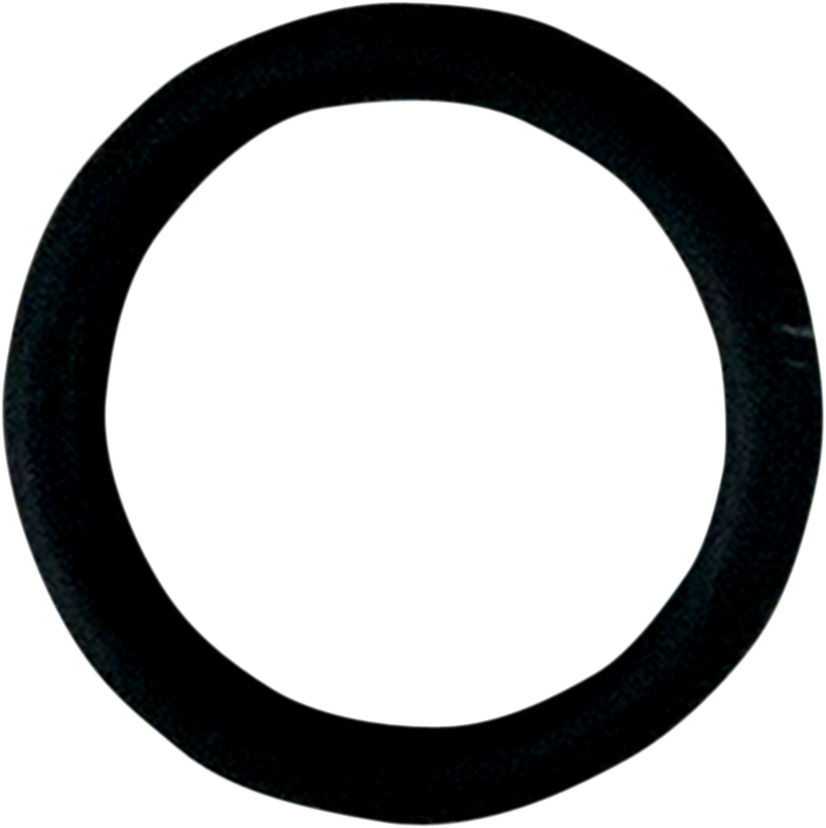 Replacement Fuel Check Valve O-Ring - Single