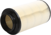 Replacement Air Filter - Polaris